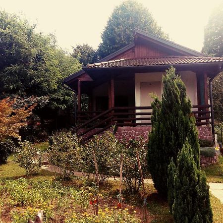 Sunny Paradise Bihać Zewnętrze zdjęcie