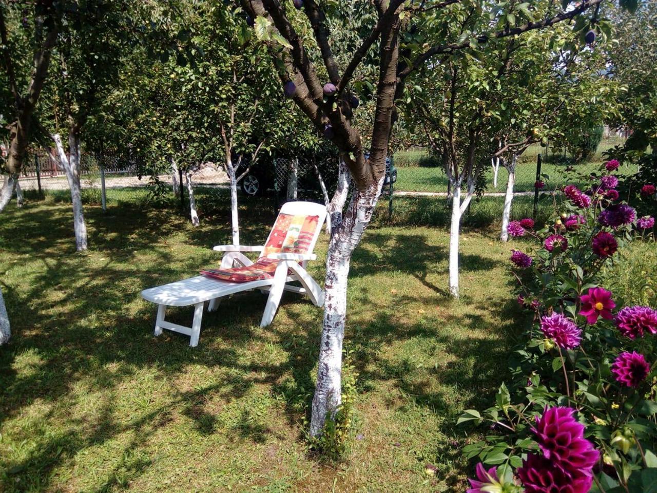 Sunny Paradise Bihać Zewnętrze zdjęcie